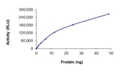 Sino Biological&nbsp;Recombinant Human FGFR2 Protein (V564I, GST Tag), Active